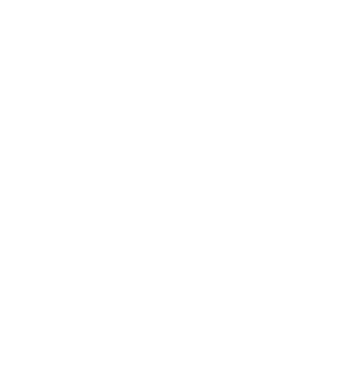 Dynamics